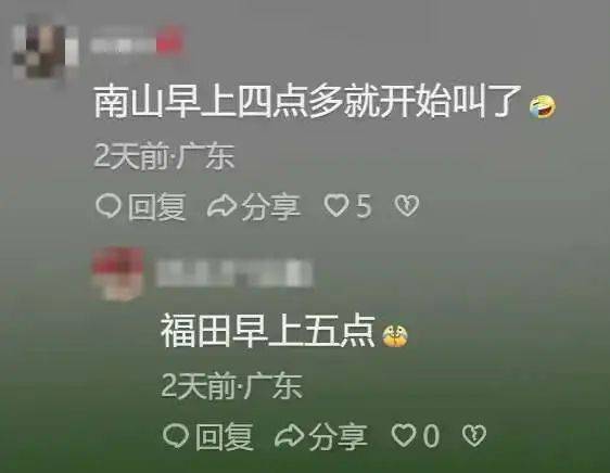 “周末想睡个懒觉都不行”<strong></p>
<p>数字货币交易所投资</strong>，有多少深圳人被这种鸟吵到神经衰弱