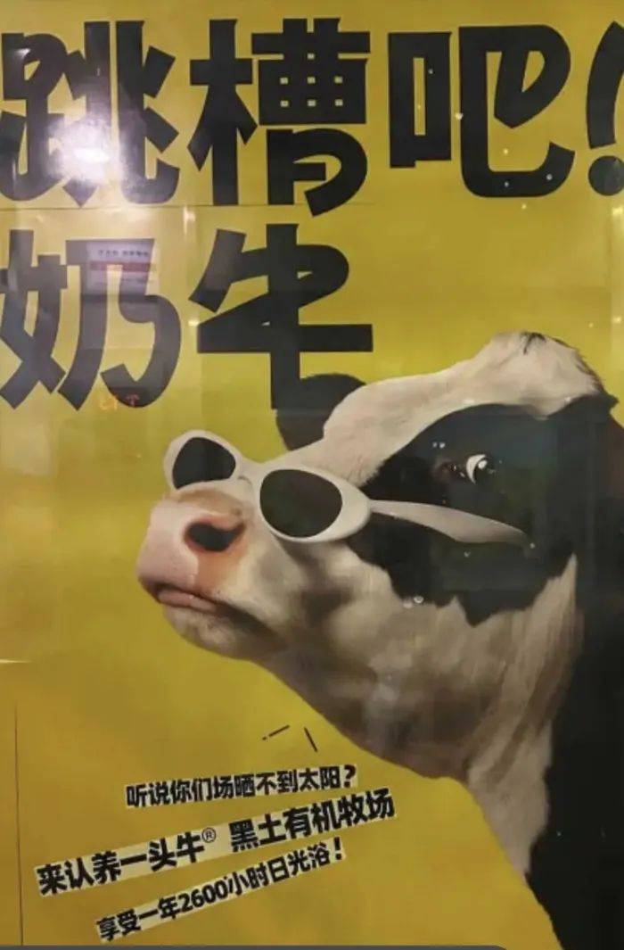 认养一头牛广告被质疑讽刺打工人<strong></p>
<p>数字货币交易平台</strong>，公司回应：致敬BOSS直聘