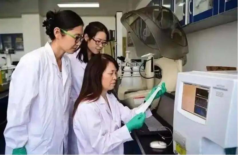 深挖 | “西北大学副校长范代娣成陕西首富”系乌龙<strong></p>
<p>bitop交易所下载</strong>，但她的人生如同开挂