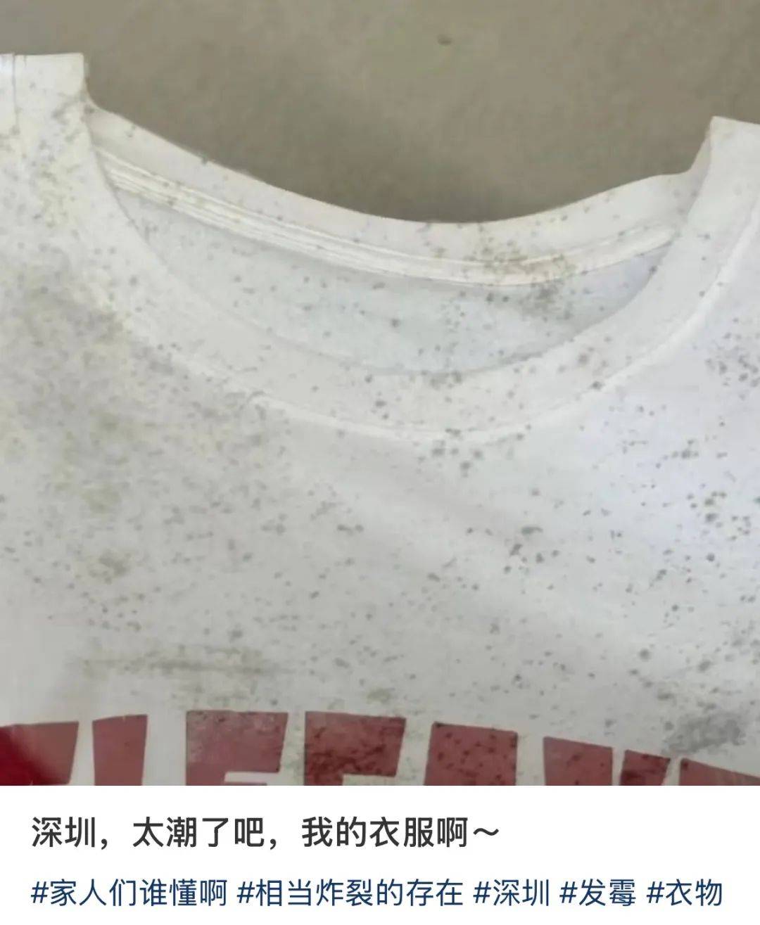 “真的绝望”！最近<strong></p>
<p>泰达币USDT</strong>，很多深圳人家中被悄悄入侵！速自查这些地方……