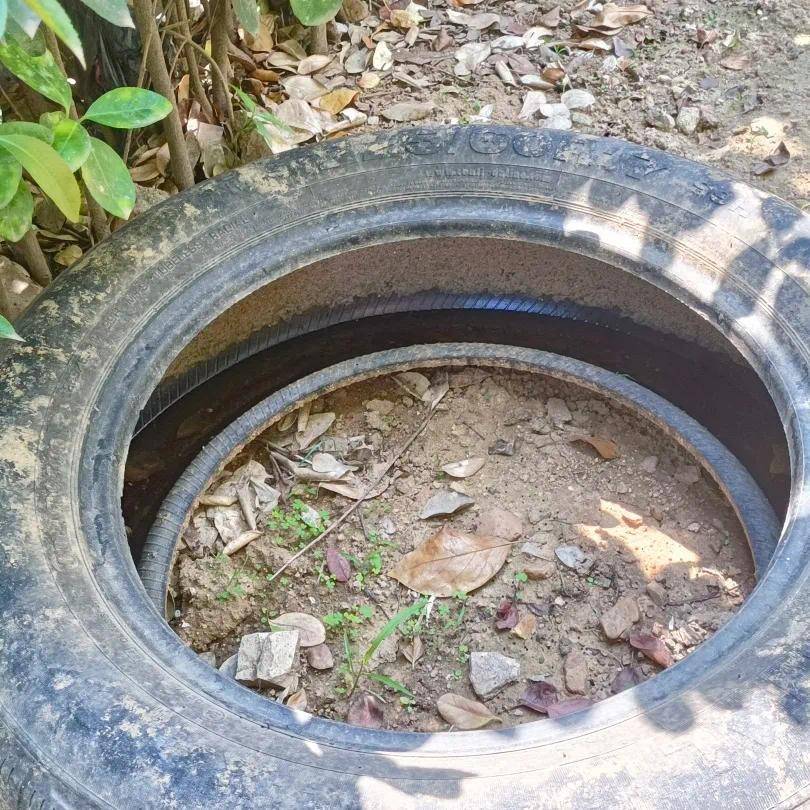 青岛疾控最新提醒：全民行动<strong></p>
<p>BITOP交易</strong>！翻盆倒罐、清除积水！