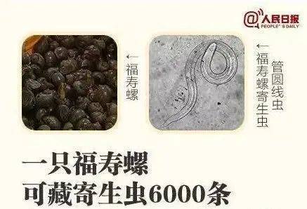 别吃！寄生虫多达6000条！浙江一地大量出现<strong></p>
<p>艾达币交易</strong>，看到立刻上报