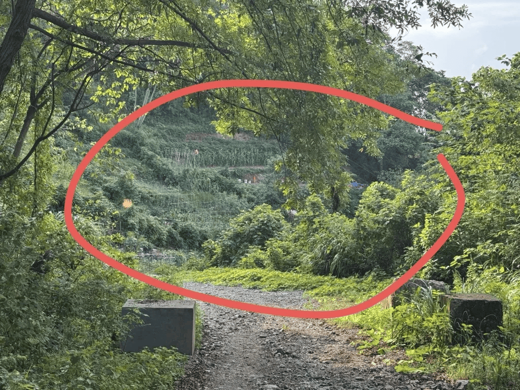 杭州女子误踩“化骨水”身亡<strong></p>
<p>抹茶交易所</strong>，当地：已锁定化学品所有者，发现三桶，一桶完整，两桶残余