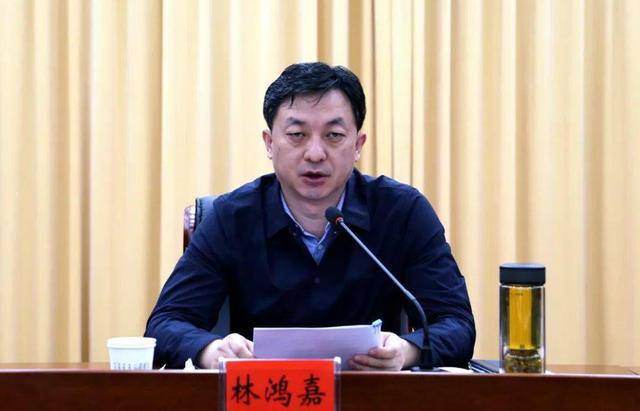 靴子落地！林鸿嘉被查<strong></p>
<p>BTC交易所</strong>，一个月前被罢免