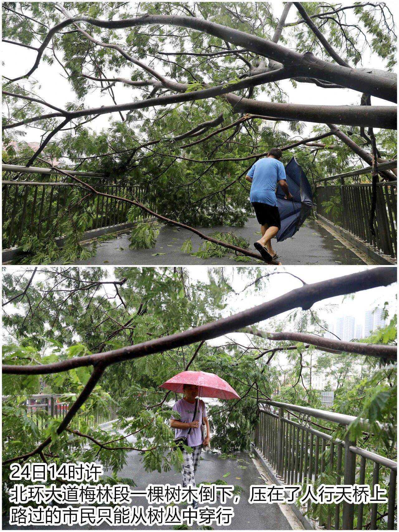 台风夜<strong></p>
<p>ETH交易所</strong>，深圳有人溺水！紧急！“桦加沙”过境，这些画面泪目