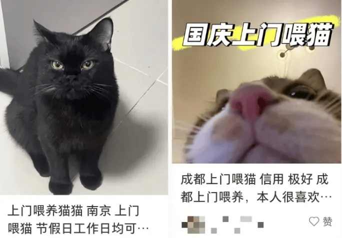 这个需求激增！一男子连接270单<strong></p>
<p>XRP交易所</strong>，其中一笔收费8100元