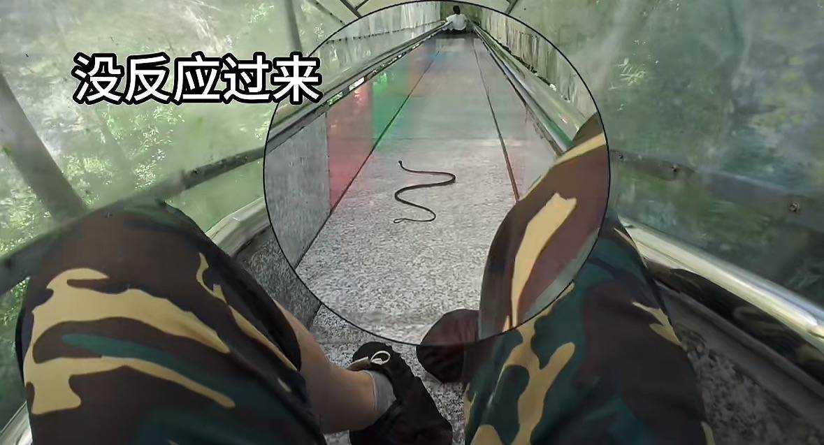 游客称在广西丹炉山滑道遇蛇<strong></p>
<p>波卡币交易所</strong>,景区致歉:这么多年就这一次,每年都做防蛇处理