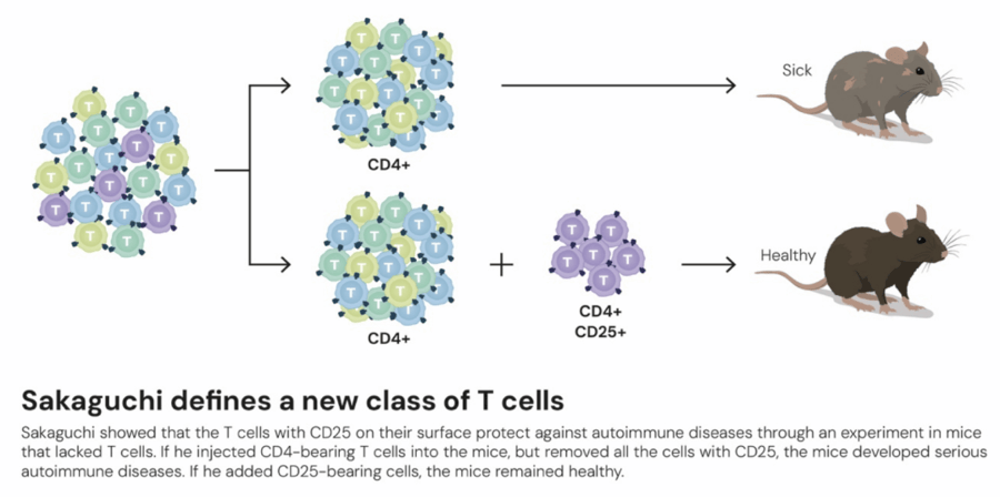 这个诺奖迟到了30年<strong></p>
<p>波卡币交易所</strong>!三位科学家揭示免疫系统如何避免“自相残杀”