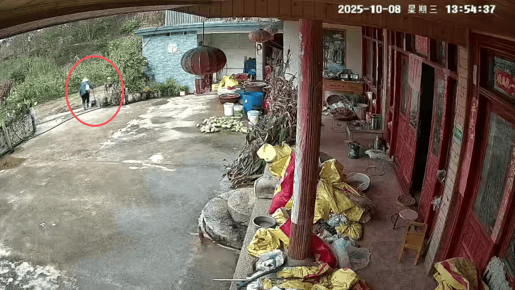 93岁老人进山失联<strong></p>
<p>ADA交易所</strong>,两天后发现他倒挂在树杈上苦撑……