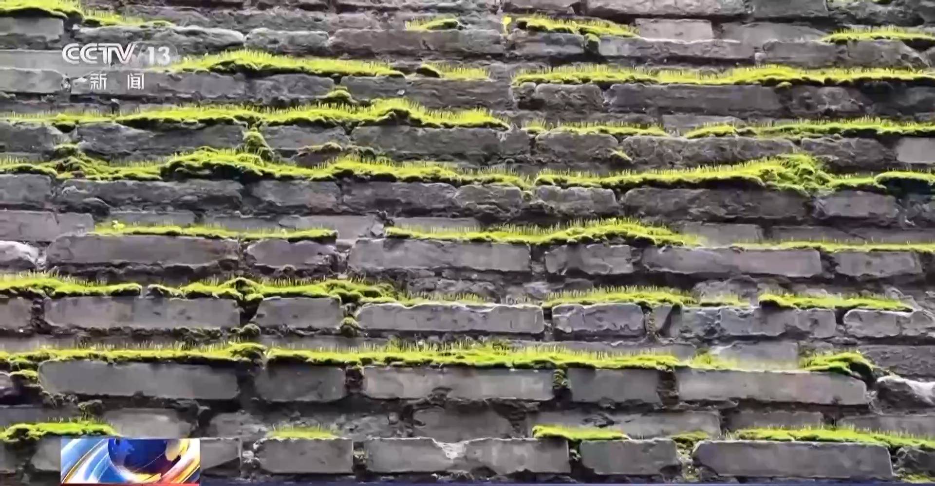 副热带高压给西安城墙送来“限定皮肤” 专家解读背后原因