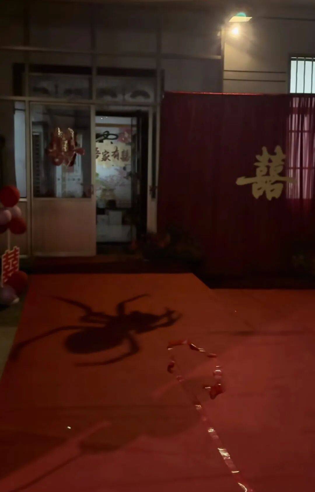 山东一新娘家凌晨出现巨大蜘蛛的倒影<strong></p>
<p>艾达币交易所</strong>,拍摄者:蜘蛛爬在灯泡上,网友:这才是喜结连理