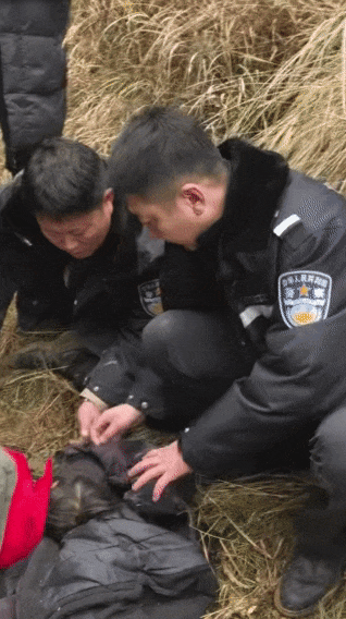 辽宁4岁女童称睡醒后自行下车<strong></p>
<p>BCH交易所</strong>,迷路后睡在草地,期间无人接触;其母发声