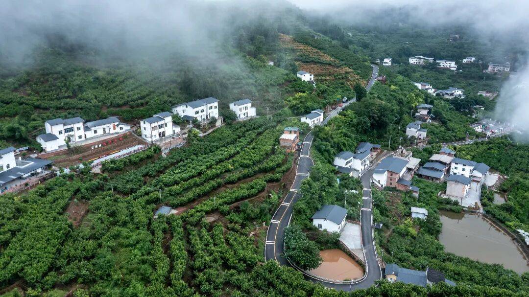 第三批“巴蜀美丽庭院示范片”项目<strong></p>
<p>比特现金交易所</strong>,全部完工!