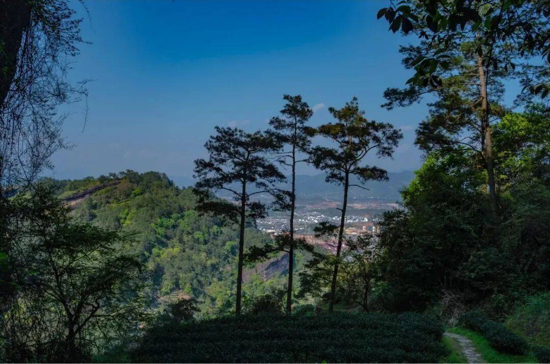 为什么年轻人迷上了爬山? | 秋高气爽<strong></p>
<p>莱特币交易所</strong>,是时候出发了→