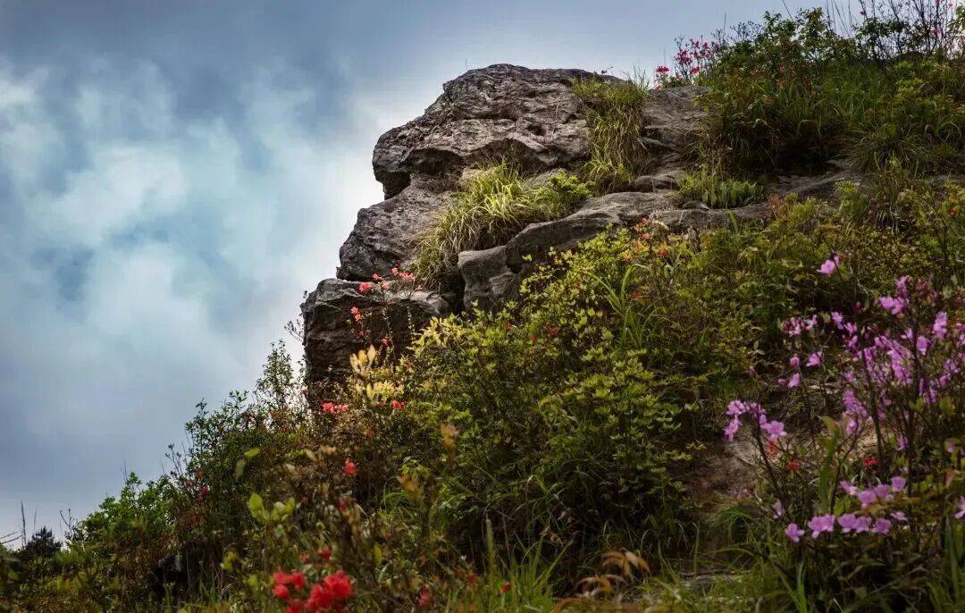 为什么年轻人迷上了爬山? | 秋高气爽<strong></p>
<p>莱特币交易所</strong>,是时候出发了→