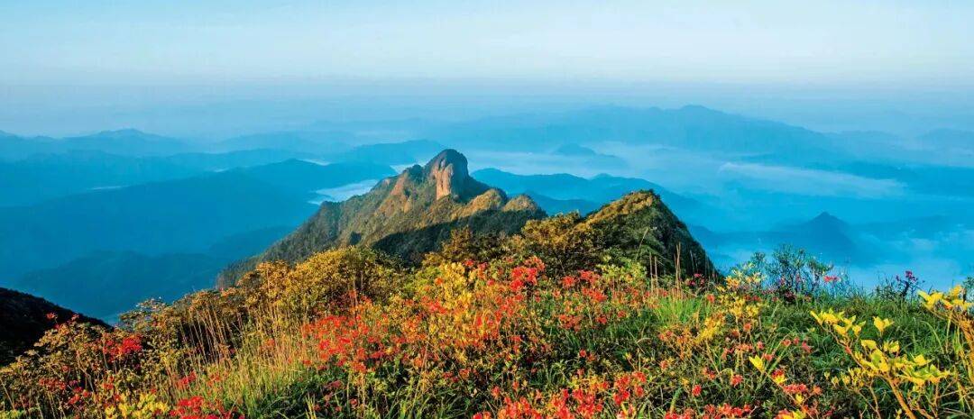 为什么年轻人迷上了爬山? | 秋高气爽<strong></p>
<p>莱特币交易所</strong>,是时候出发了→