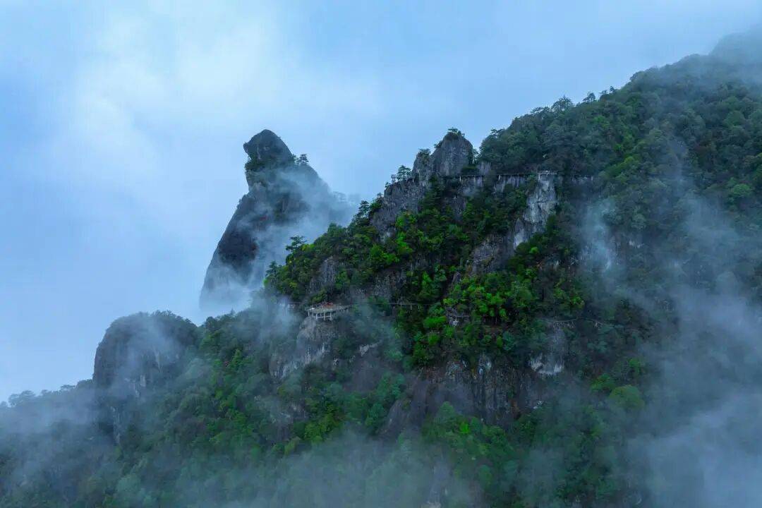 为什么年轻人迷上了爬山? | 秋高气爽<strong></p>
<p>莱特币交易所</strong>,是时候出发了→