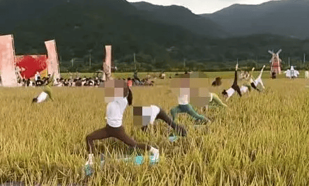 媒体:稻田开镰仪式<strong></p>
<p>莱特币交易所</strong>,表演哪门子瑜伽?