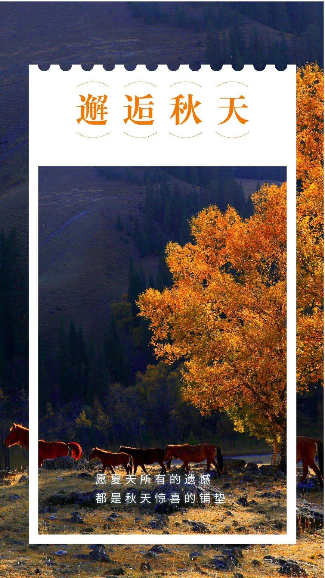 邂逅博州的秋天<strong></p>
<p>LTC交易所</strong>,从从容容游刃有余