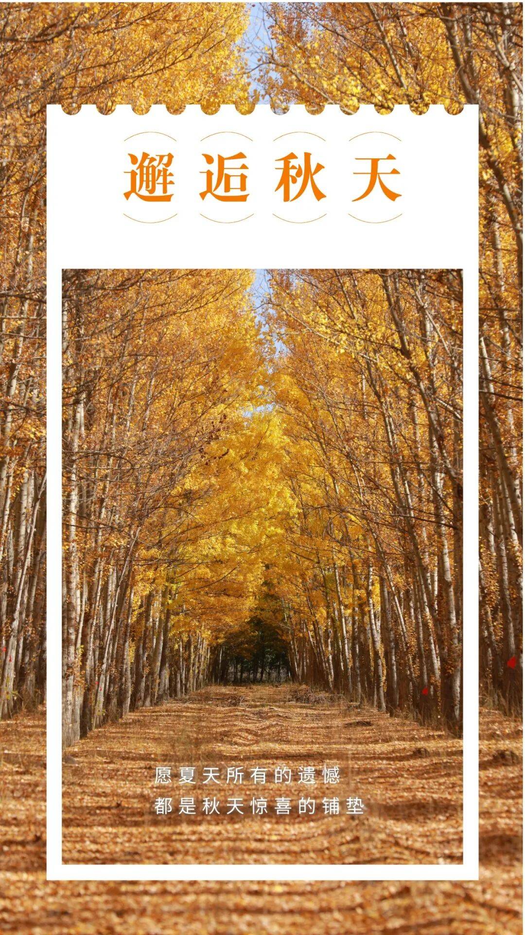 邂逅博州的秋天<strong></p>
<p>LTC交易所</strong>,从从容容游刃有余