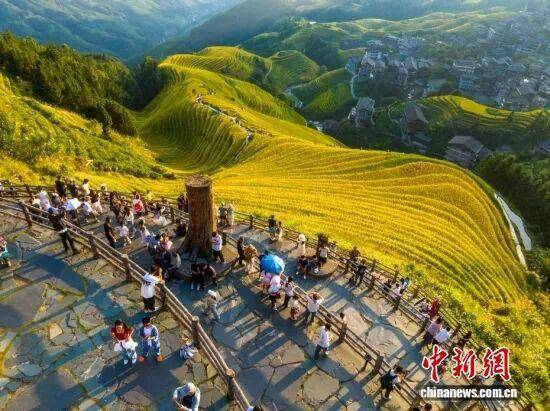 金秋<strong></p>
<p>LTC交易所</strong>,广西的梯田一点不输!