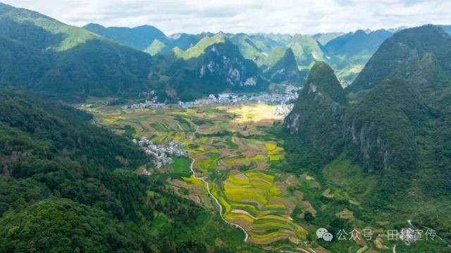 金秋<strong></p>
<p>LTC交易所</strong>,广西的梯田一点不输!