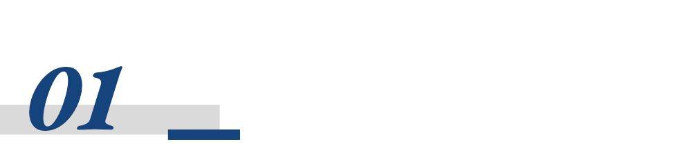 立法确立同工同酬<strong></p>
<p>莱特币交易所</strong>,欧盟各国为何进展缓慢?