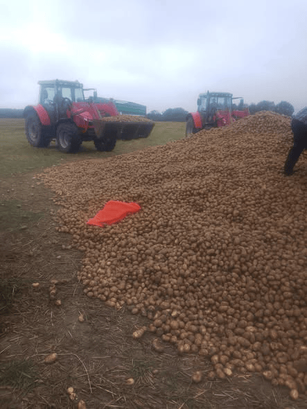 波兰68岁农民收获的150吨土豆被一夜搬空<strong></p>
<p>比特币交易所</strong>, 只因帖子遭篡改