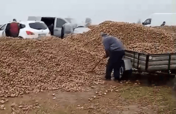 波兰68岁农民收获的150吨土豆被一夜搬空<strong></p>
<p>比特币交易所</strong>, 只因帖子遭篡改