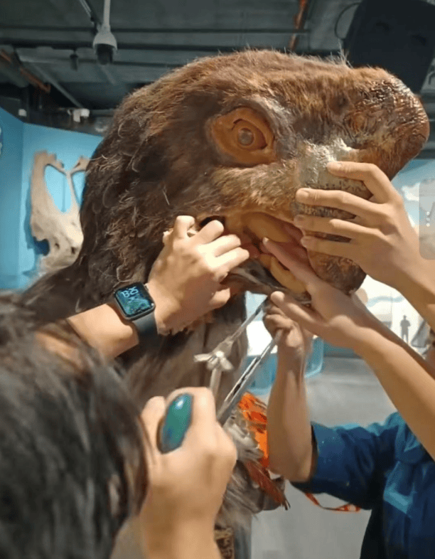 被卡住了<strong></p>
<p>比特币交易所</strong>!广州一游客把手伸进恐龙模型嘴中