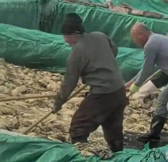 男子在酸菜池内抽烟吐痰，官方通报！