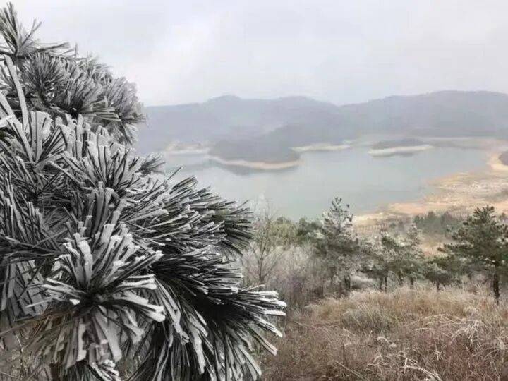 禁止任何形式穿越<strong></p>
<p>37币</strong>!杭州一地发布最严禁令