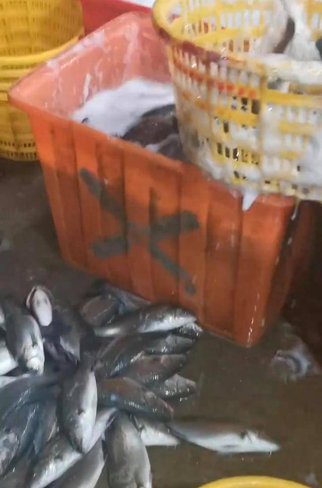 水产市场“麻醉鱼”调查:有商家称麻药有味会换水再卖<strong></p>
<p>37币</strong>,有无危害尚不明