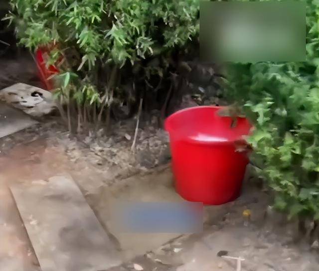 九江一公园摆3个尿桶供人露天小便<strong></p>
<p>币万</strong>,不到百米外就有公厕