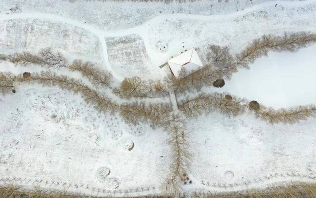 百年难遇“早立冬”来了<strong></p>
<p>币万</strong>!有啥讲究?早看早准备!