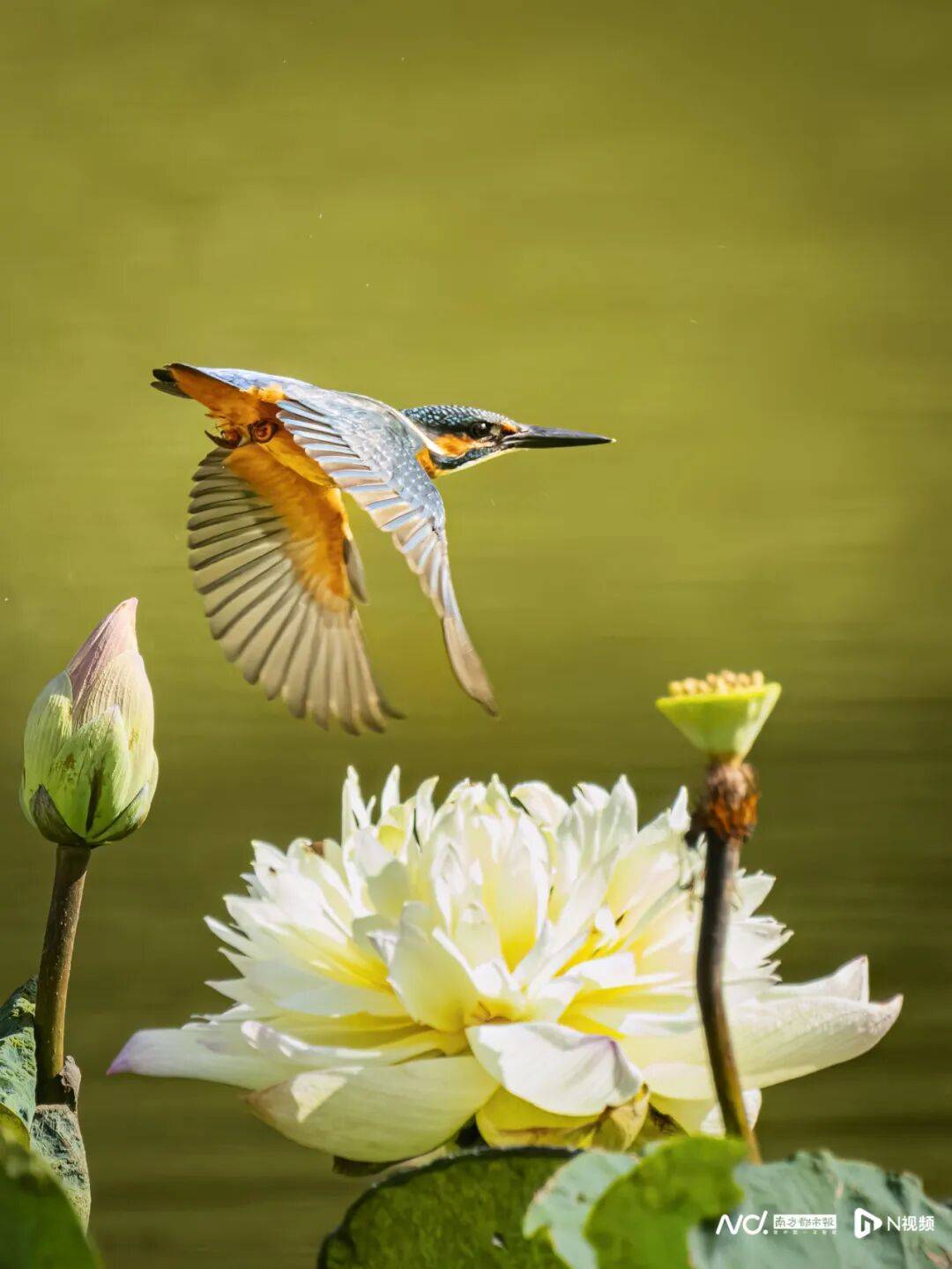 东莞最新发布:将严厉打击这些行为<strong></p>
<p>币万</strong>!