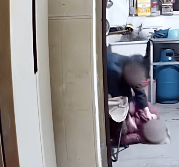 儿子杨某中<strong></p>
<p>币神币价格</strong>,已被抓获