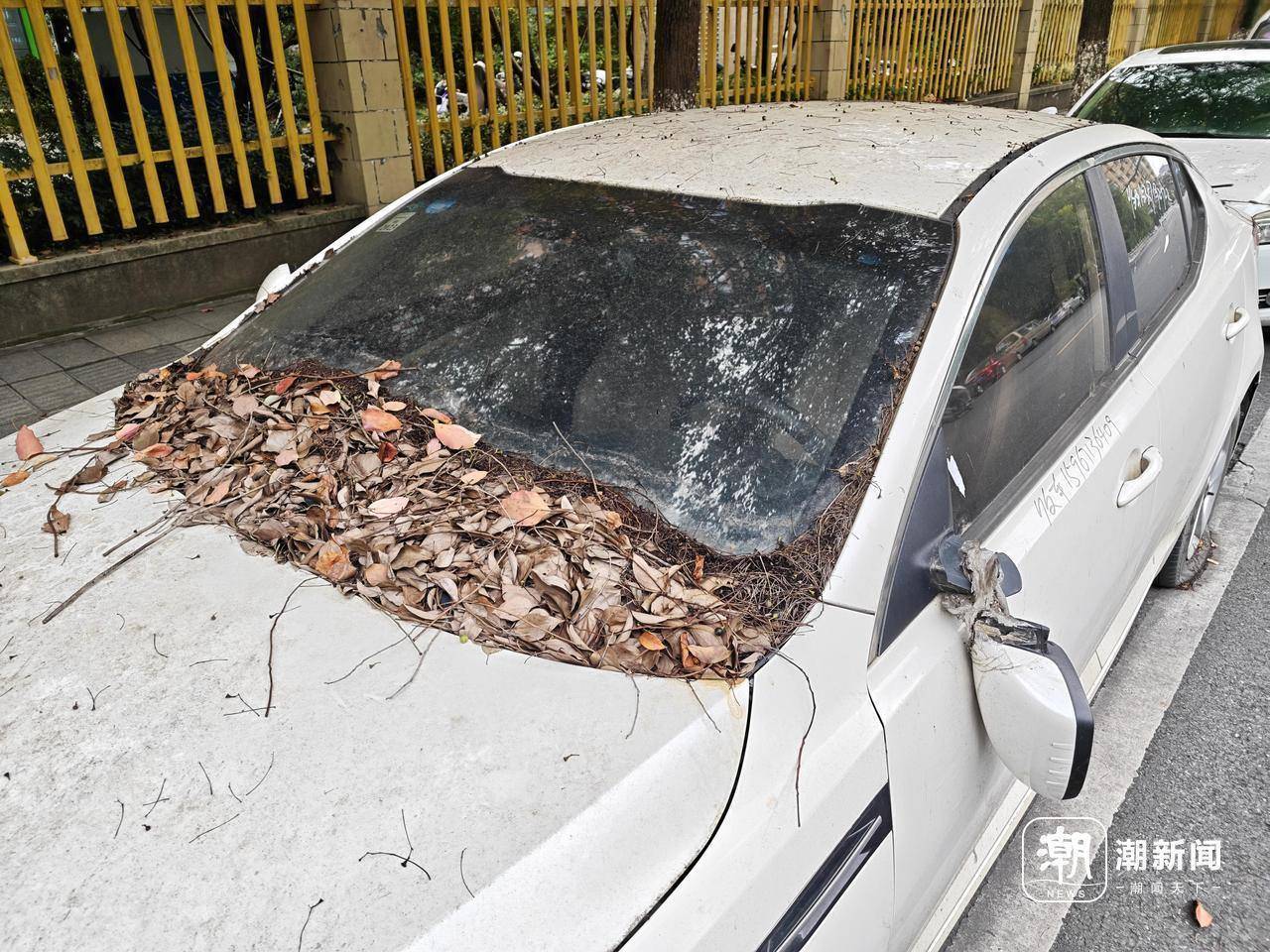 近三成疑似“僵尸车”<strong></p>
<p>炒币</strong>,杭州这里的路边免费车位缘何成“停车场”