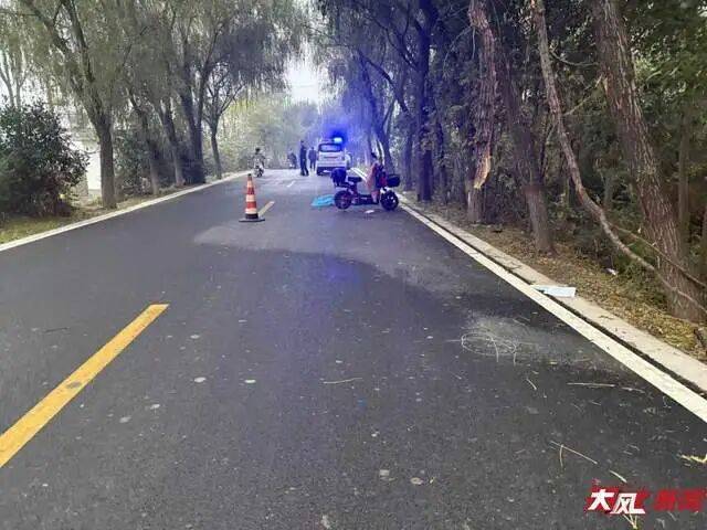 陕西兴平56岁女教师骑电动车“撞树枝”身亡<strong></p>
<p>lun币</strong>,交警判定担主责,家属提出诸多质疑,多方回应