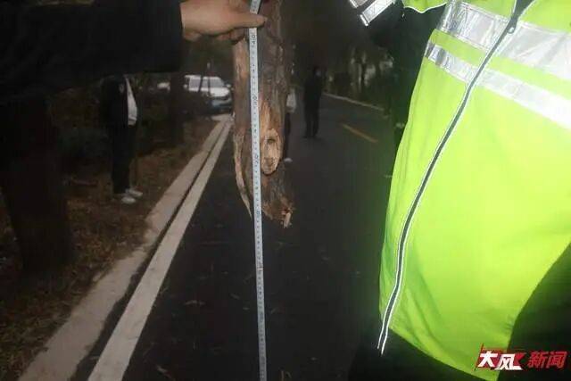 陕西兴平56岁女教师骑电动车“撞树枝”身亡<strong></p>
<p>lun币</strong>,交警判定担主责,家属提出诸多质疑,多方回应