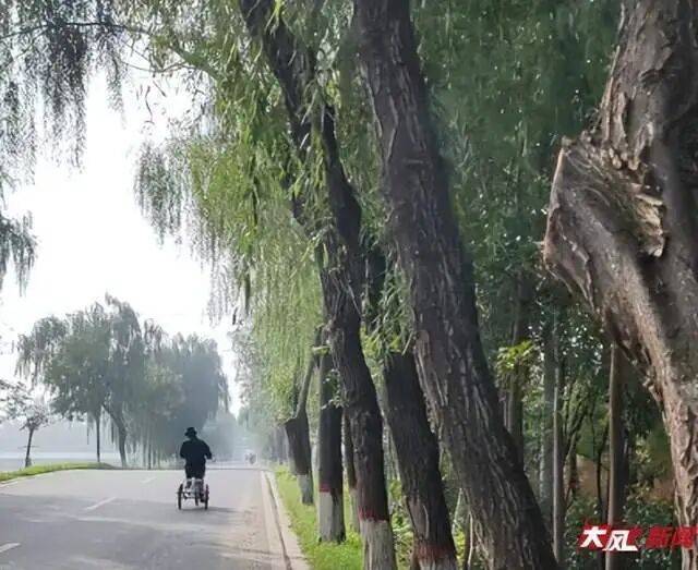 陕西兴平56岁女教师骑电动车“撞树枝”身亡<strong></p>
<p>lun币</strong>,交警判定担主责,家属提出诸多质疑,多方回应