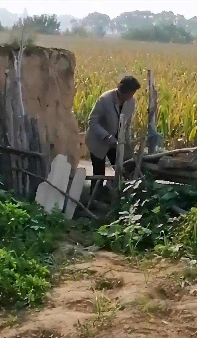 陕西一女子疑因拍亲姑姑偷玉米遭姑父棍杀<strong></p>
<p>悦享币</strong>,邻居欲报警也遇害