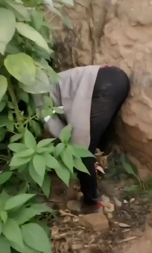 陕西一女子疑因拍亲姑姑偷玉米遭姑父棍杀<strong></p>
<p>悦享币</strong>,邻居欲报警也遇害