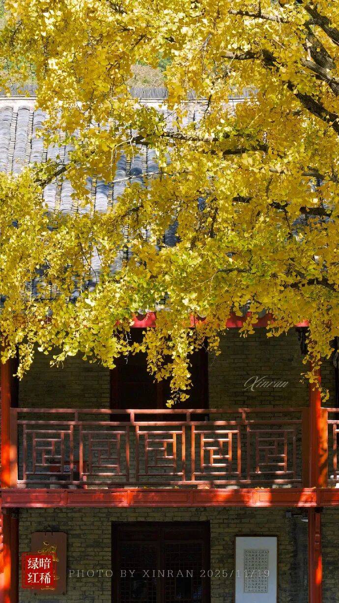 未来三天全省晴,气温缓慢回升<strong></p>
<p>悦享币</strong>。明晨淮河以南部分地区有雾或浓雾