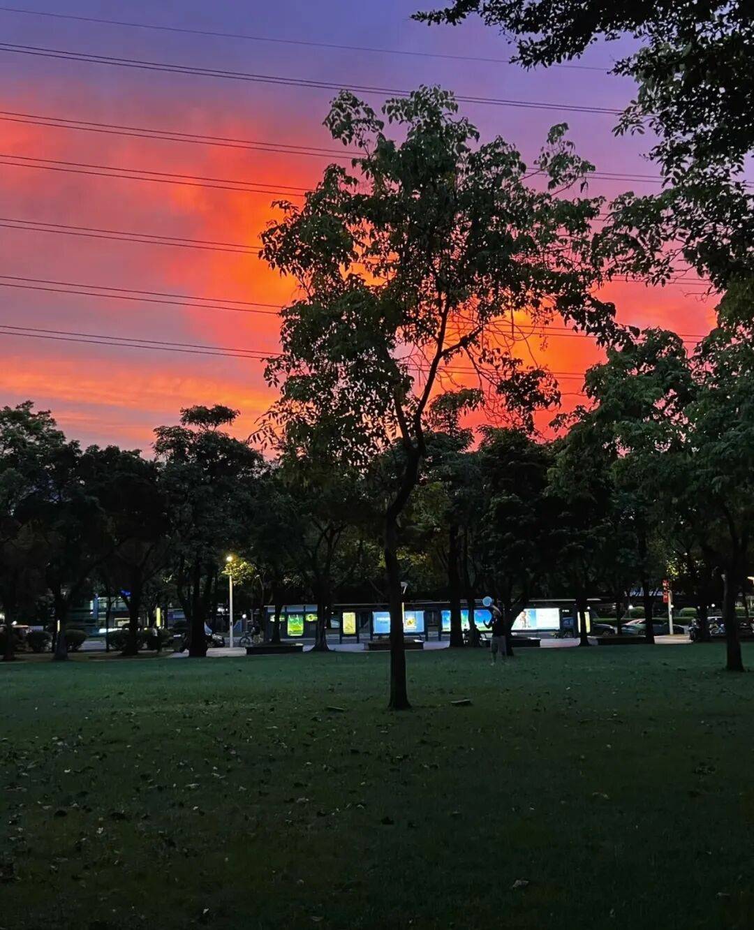 第一批丁克老后<strong></p>
<p>zsc币</strong>,“伴侣能陪一程,但最后都要靠自己”