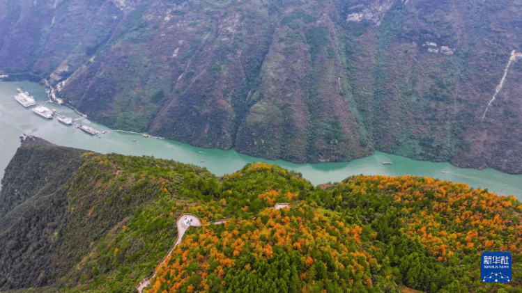 重庆巫山:初冬美景引客来