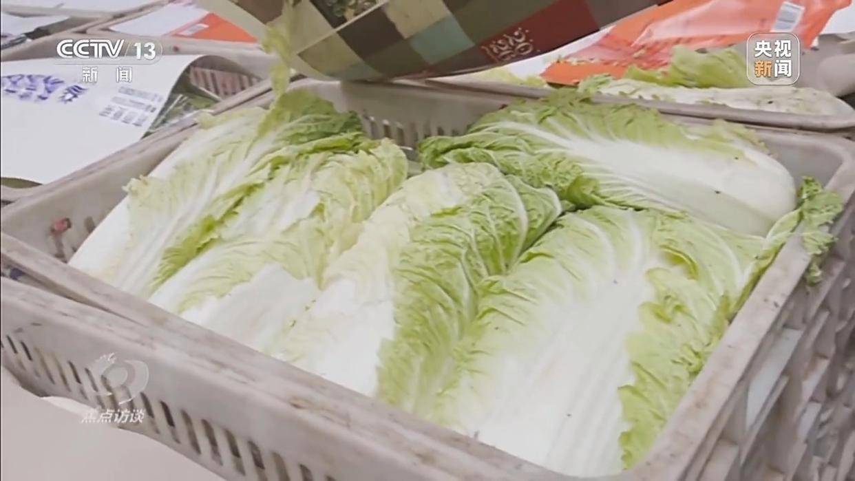 单棵售价超百元<strong></p>
<p>阳光币</strong>,起底“套牌白菜”背后的销售套路