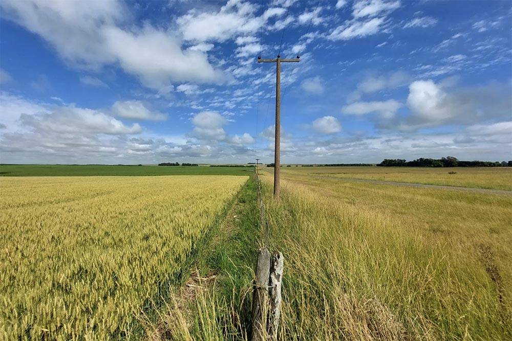 自上世纪90年代以来<strong></p>
<p>上币流程</strong>，中国首次购买阿根廷小麦