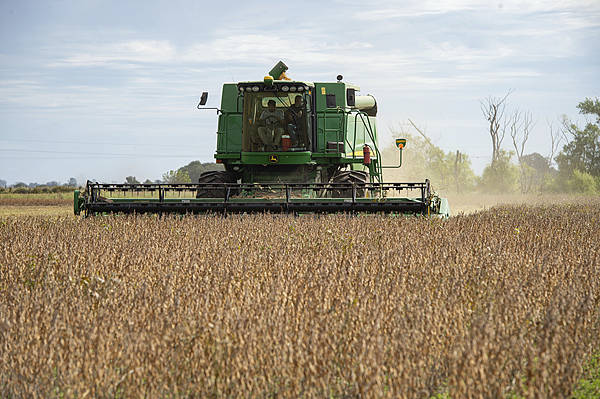 自上世纪90年代以来<strong></p>
<p>上币流程</strong>，中国首次购买阿根廷小麦