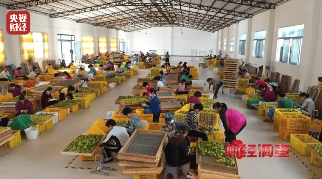 广西浦北凌晨通报——